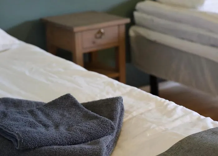 Olkkolan Hovi מלון *