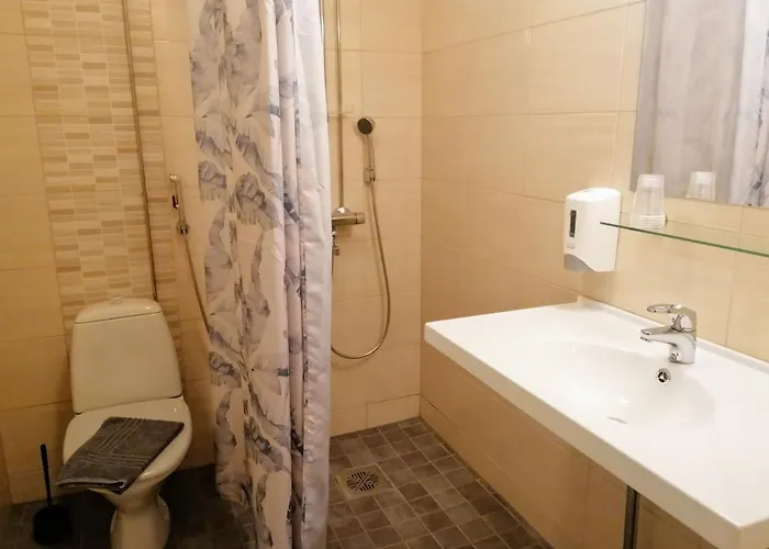 מלון Olkkolan Hovi *